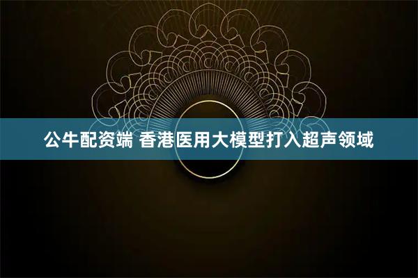 公牛配资端 香港医用大模型打入超声领域