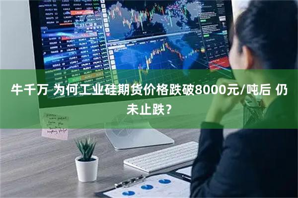 牛千万 为何工业硅期货价格跌破8000元/吨后 仍未止跌？